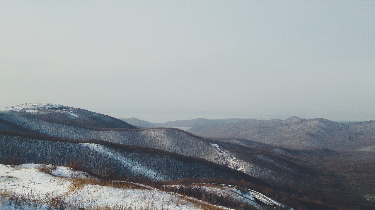 Archillect ID 247060