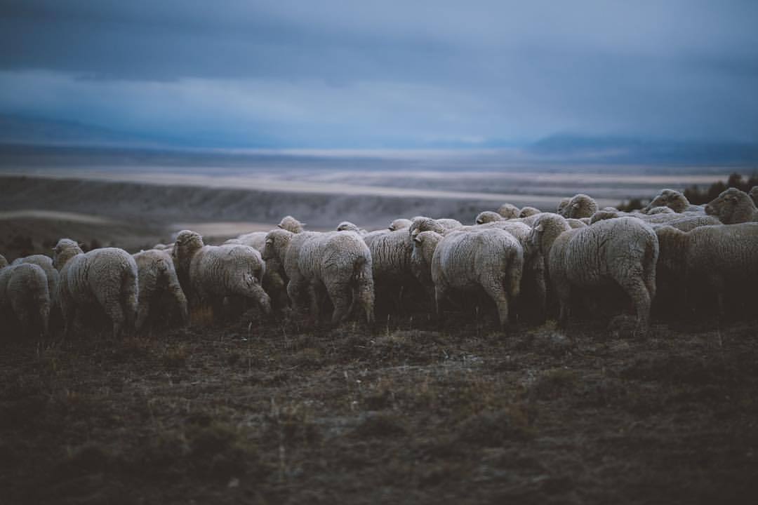 Archillect ID 247192
