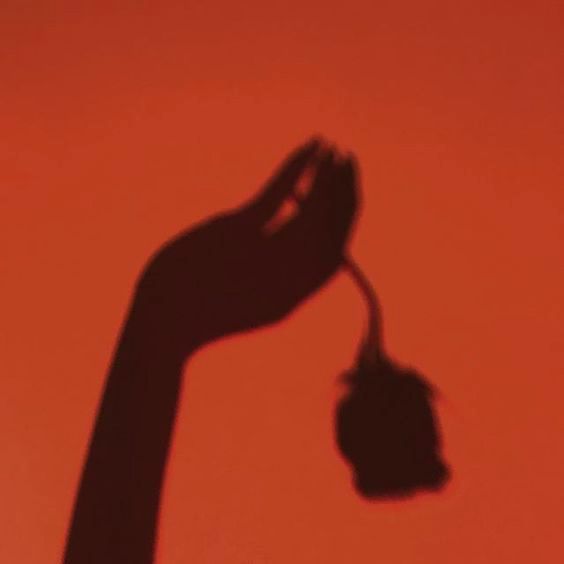 Archillect ID 247271