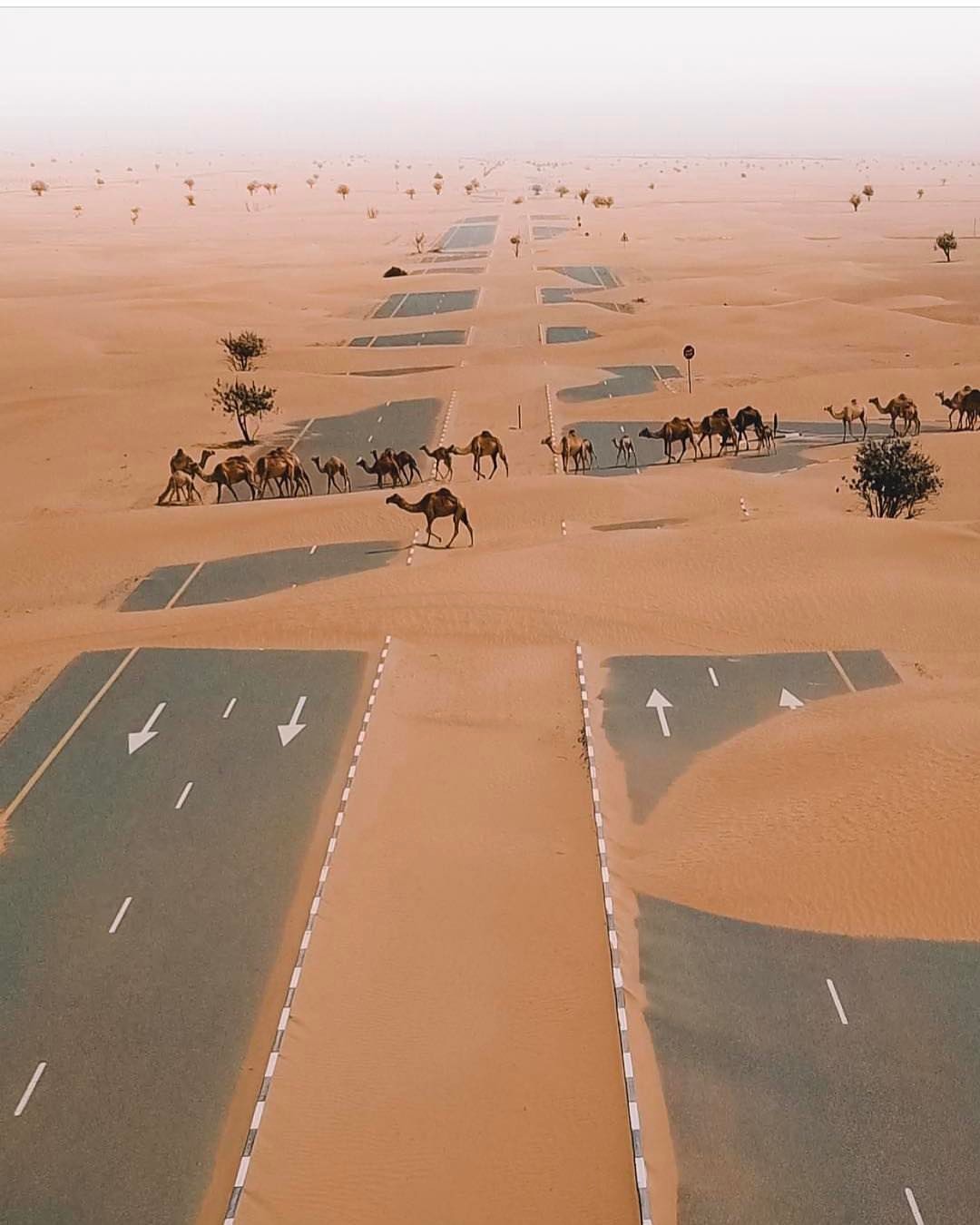Archillect ID 247281