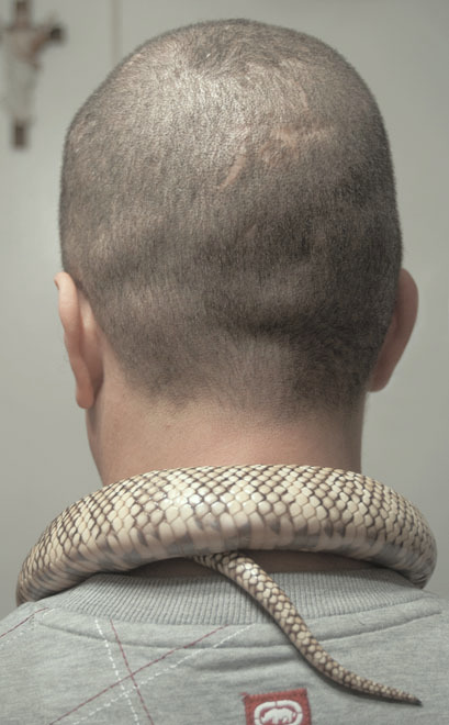 Archillect ID 247587
