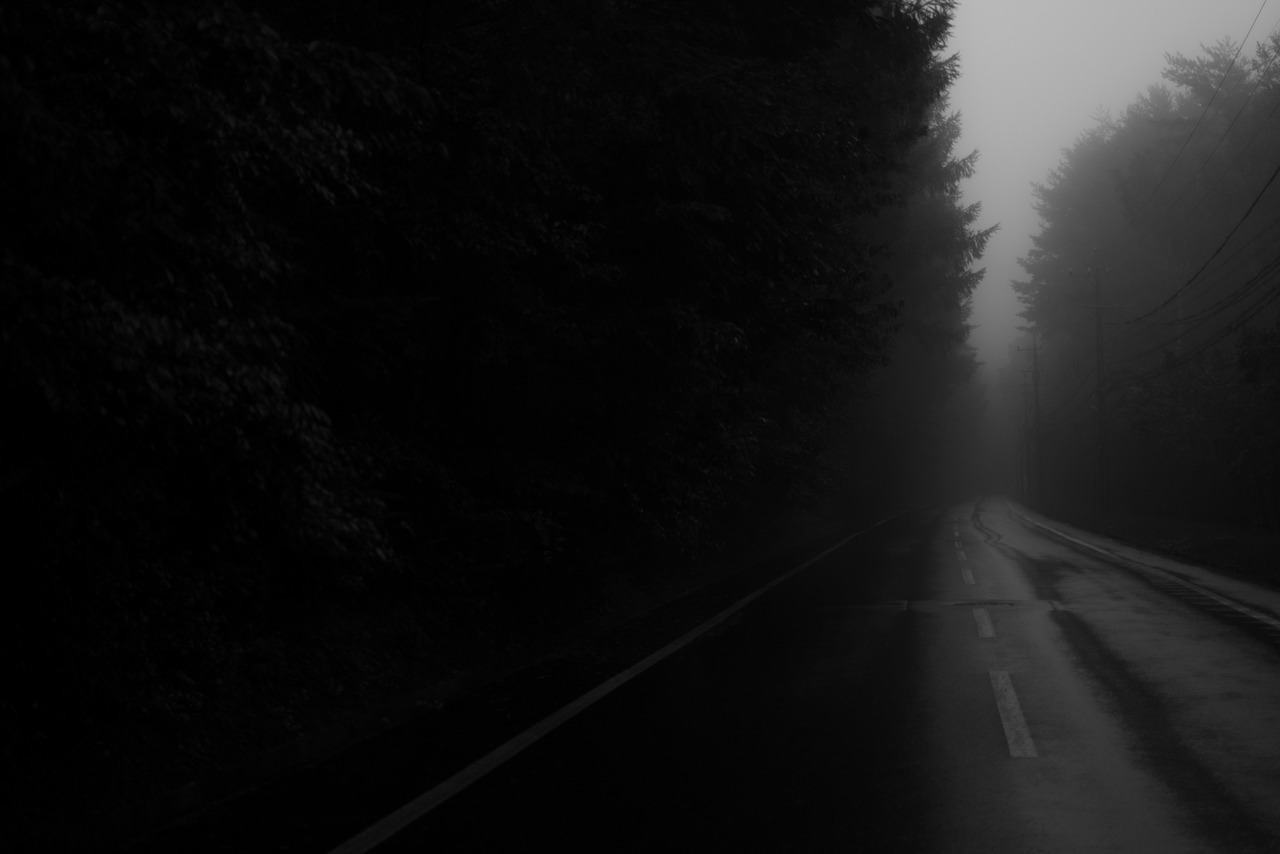 Archillect ID 247765