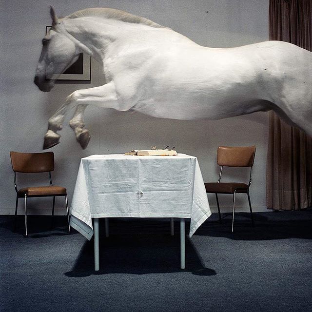 Archillect ID 248014