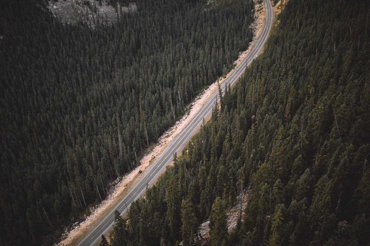 Archillect ID 248086