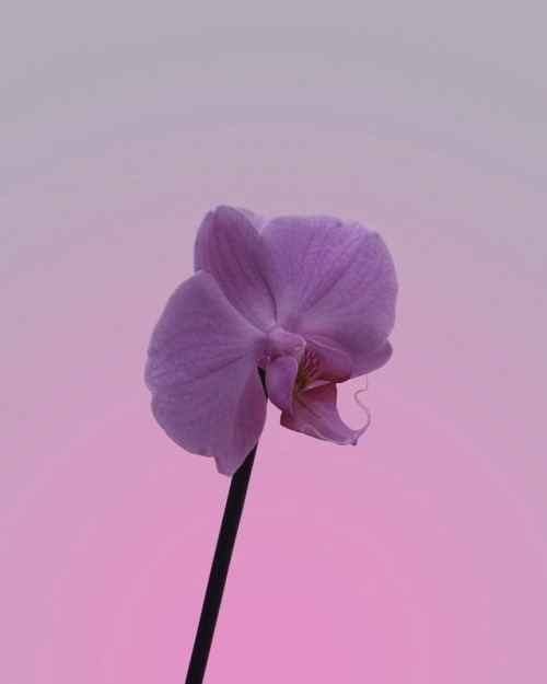 Archillect ID 248234