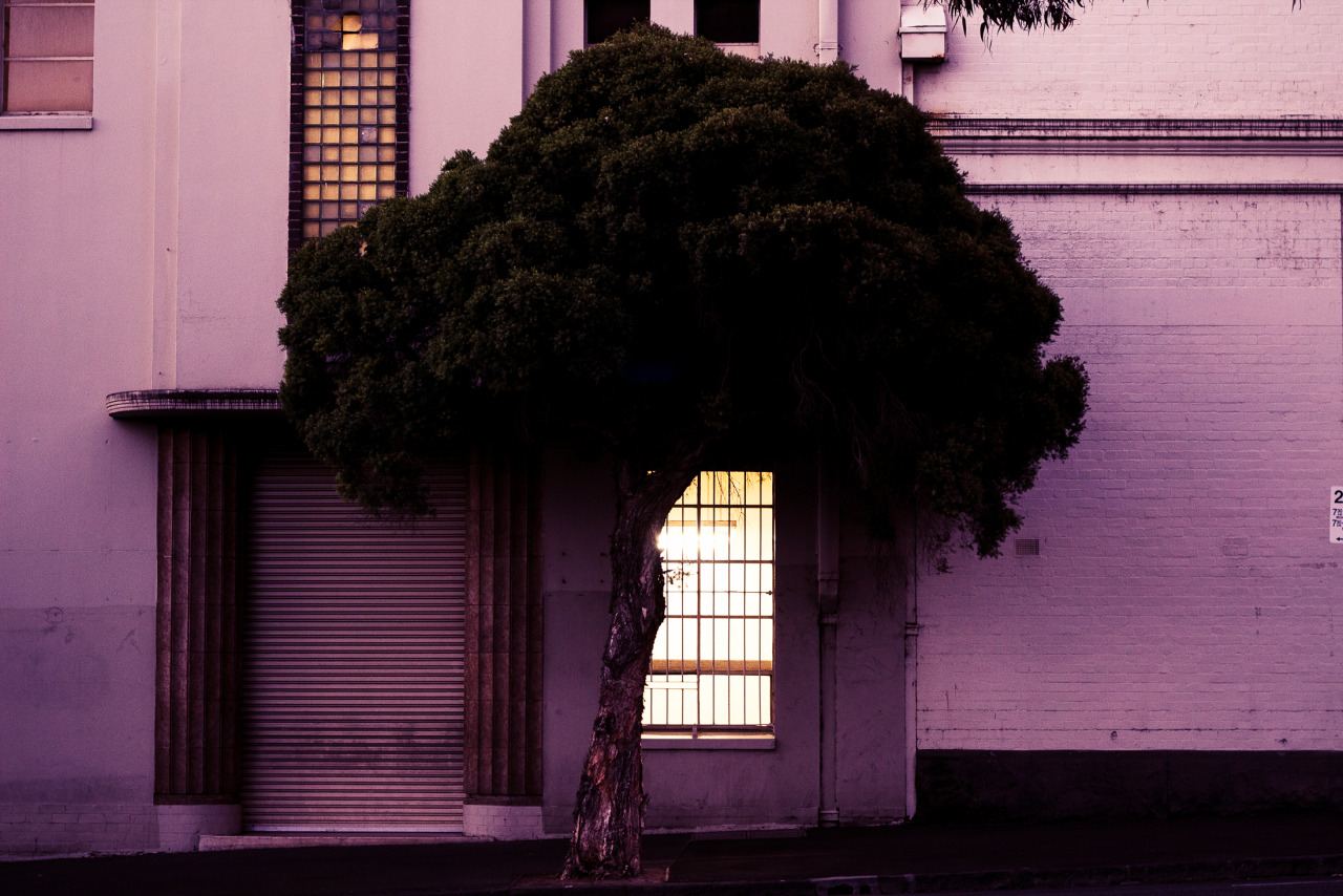Archillect ID 248275