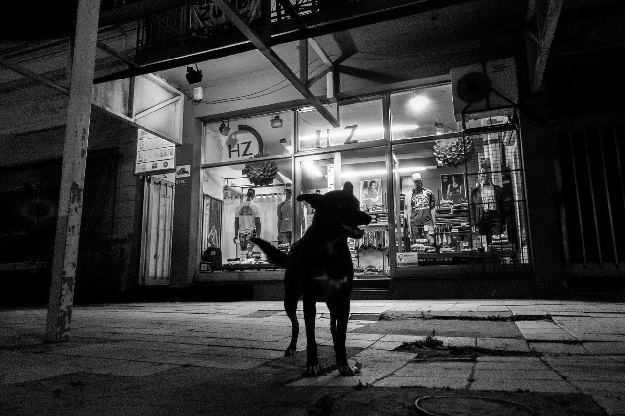 Archillect ID 248308