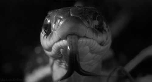 Archillect ID 248607