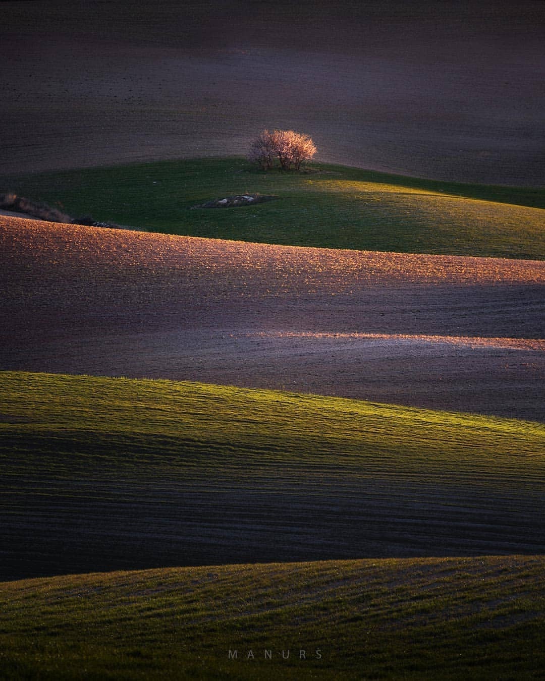 Archillect ID 248696