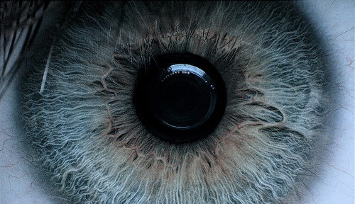Archillect ID 248860
