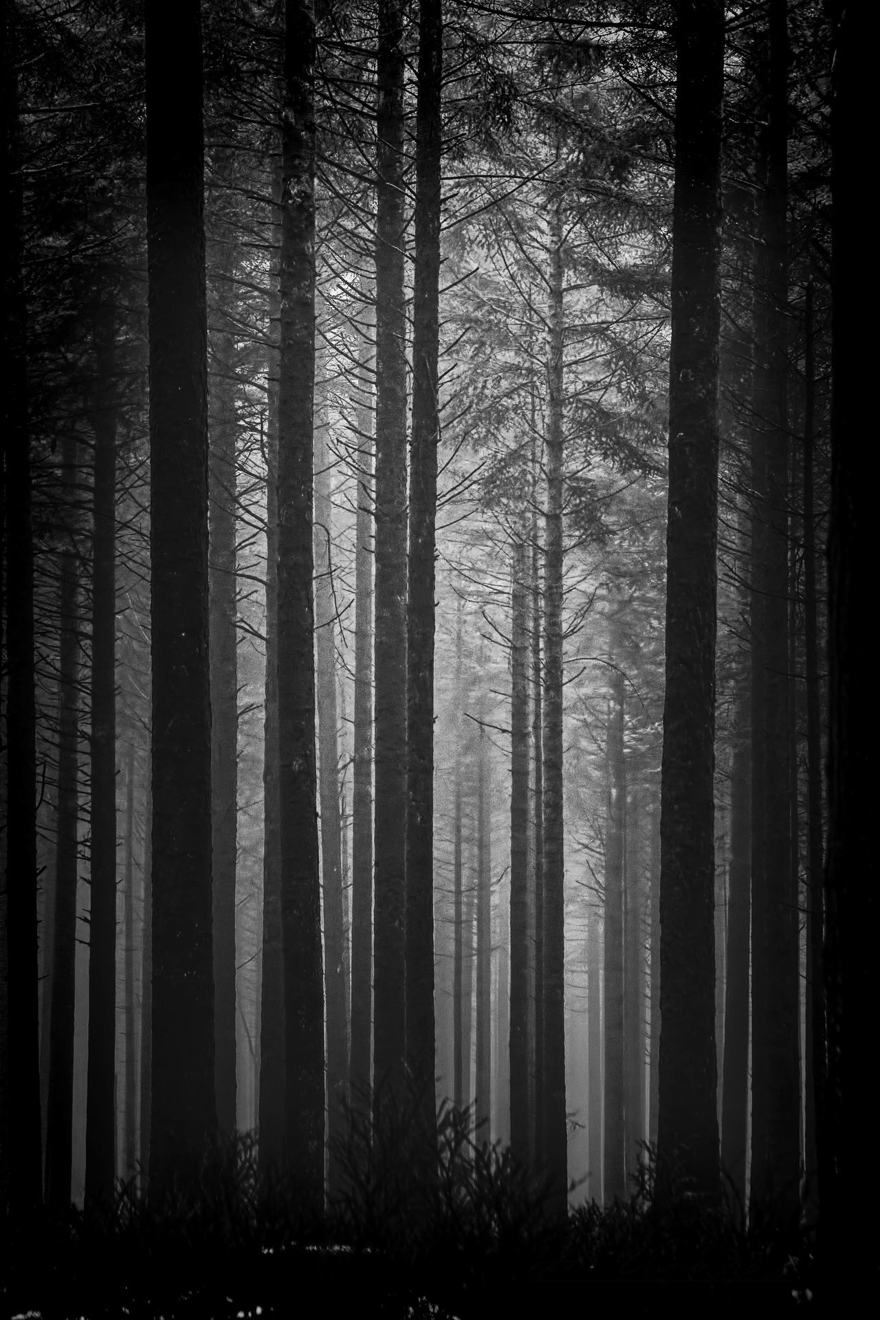 Archillect ID 248876