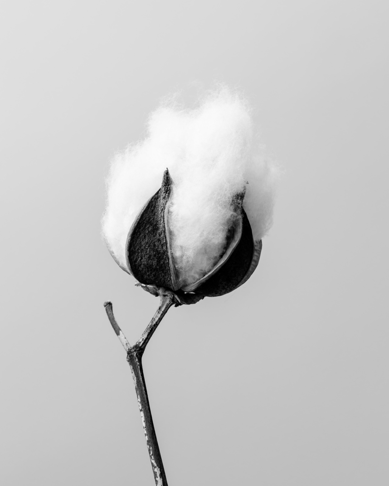 Archillect ID 248995