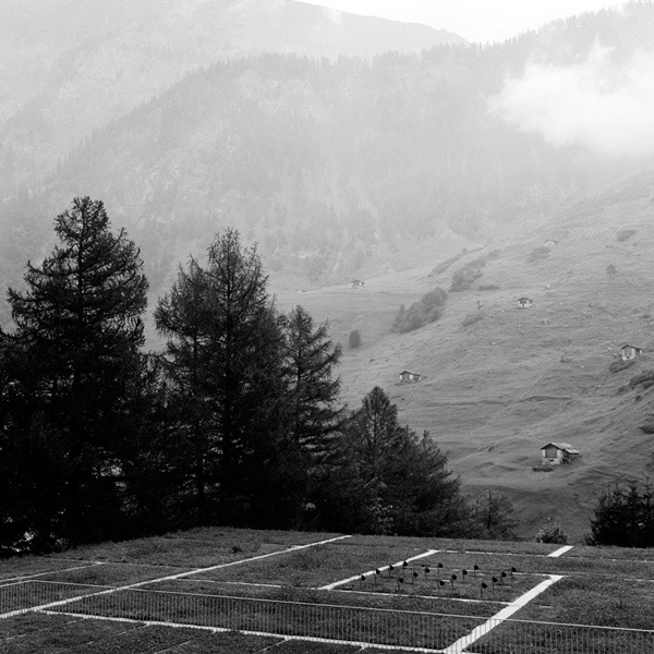 Archillect ID 249031