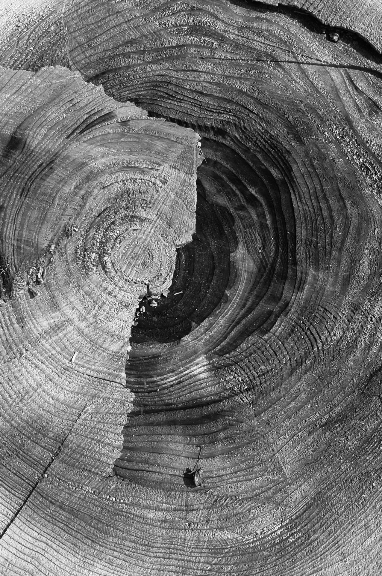 Archillect ID 249070