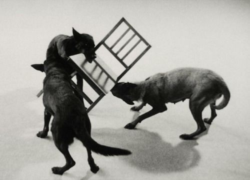 Archillect ID 249184