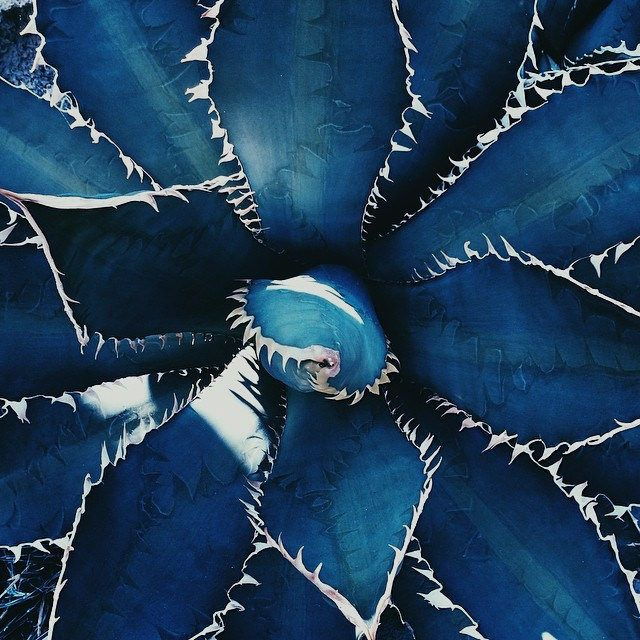 Archillect ID 249709