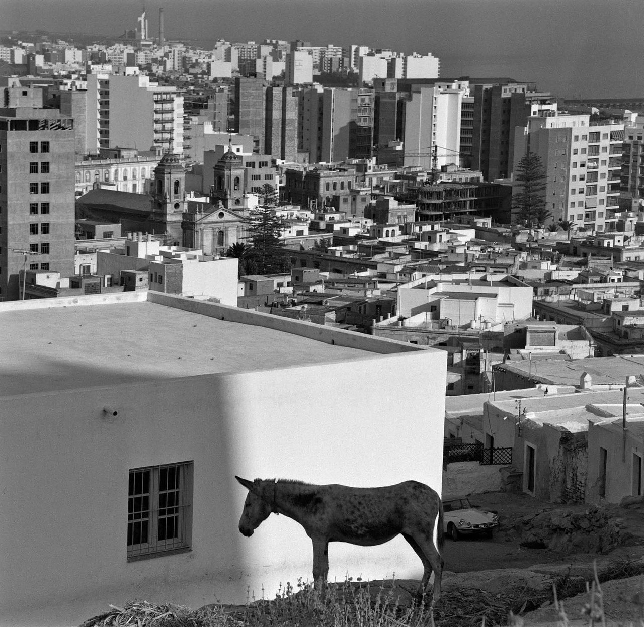 Archillect ID 249880
