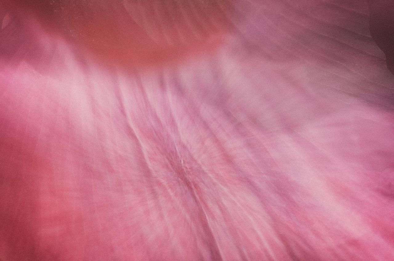 Archillect ID 249903