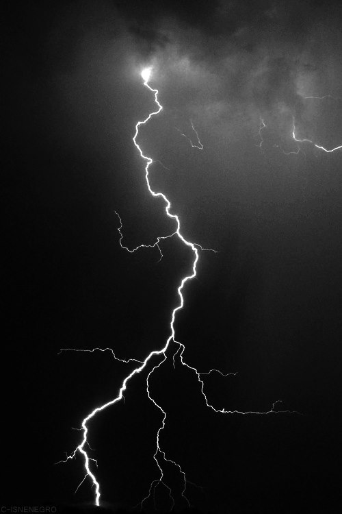 Archillect ID 250246