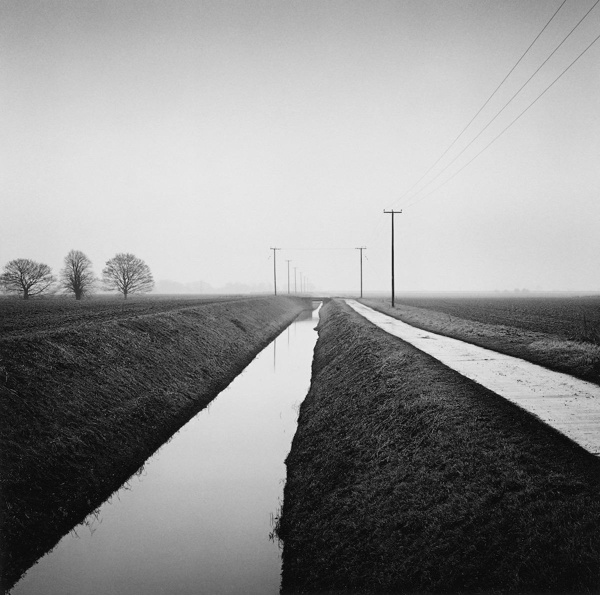 Archillect ID 250519