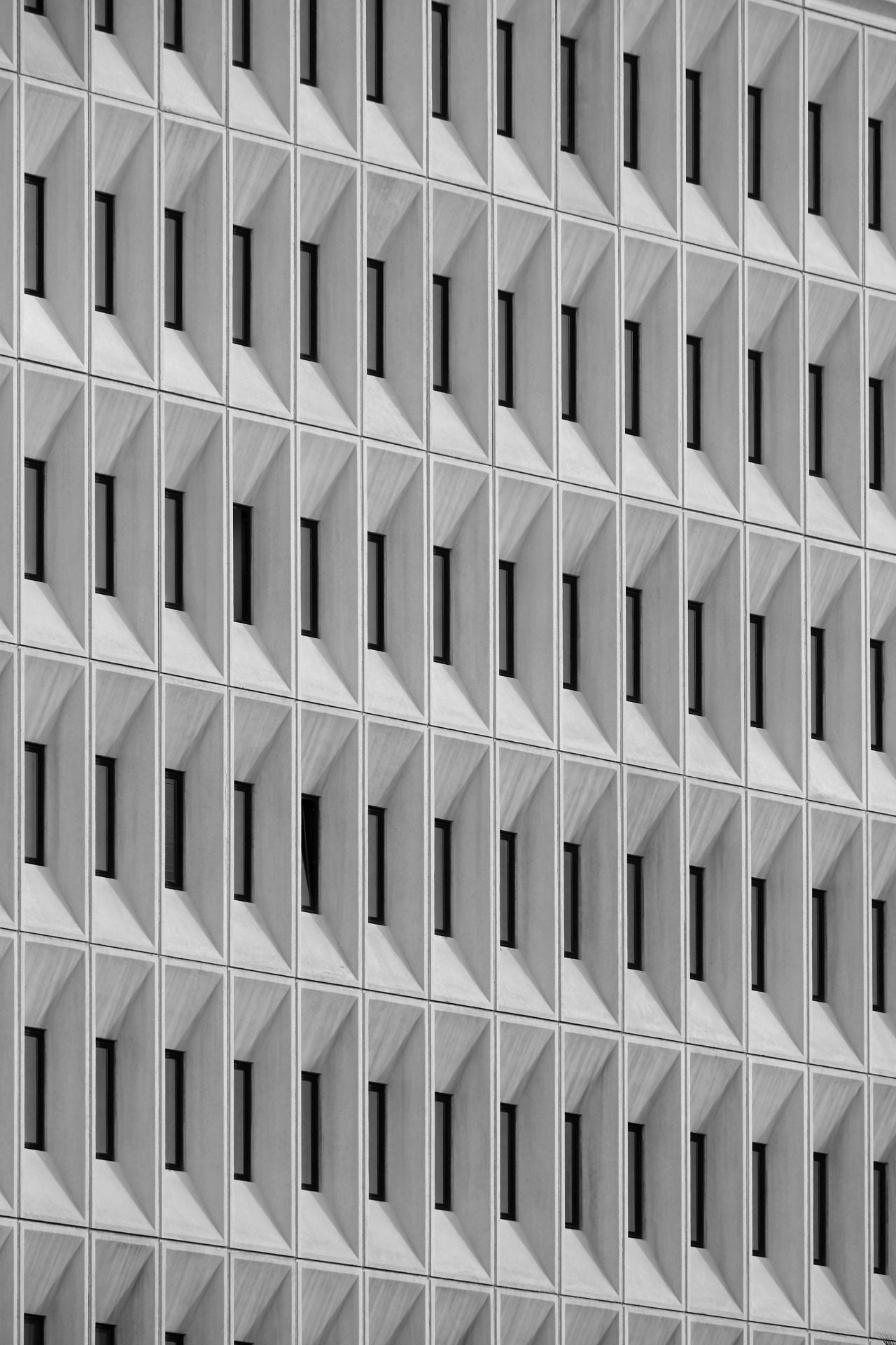 Archillect ID 250981