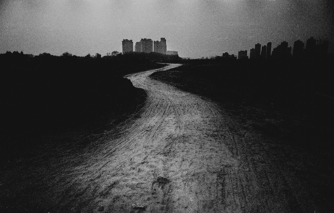 Archillect ID 251201