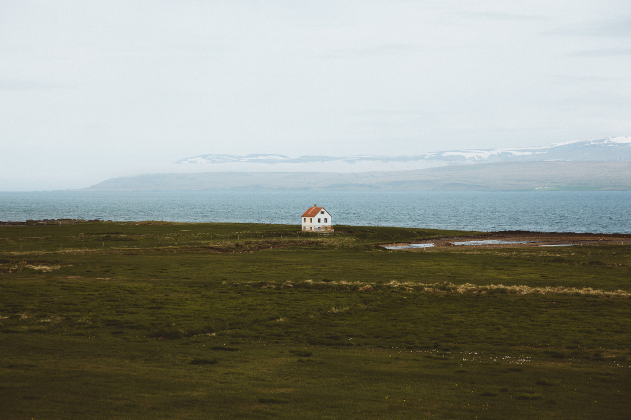 Archillect ID 251464