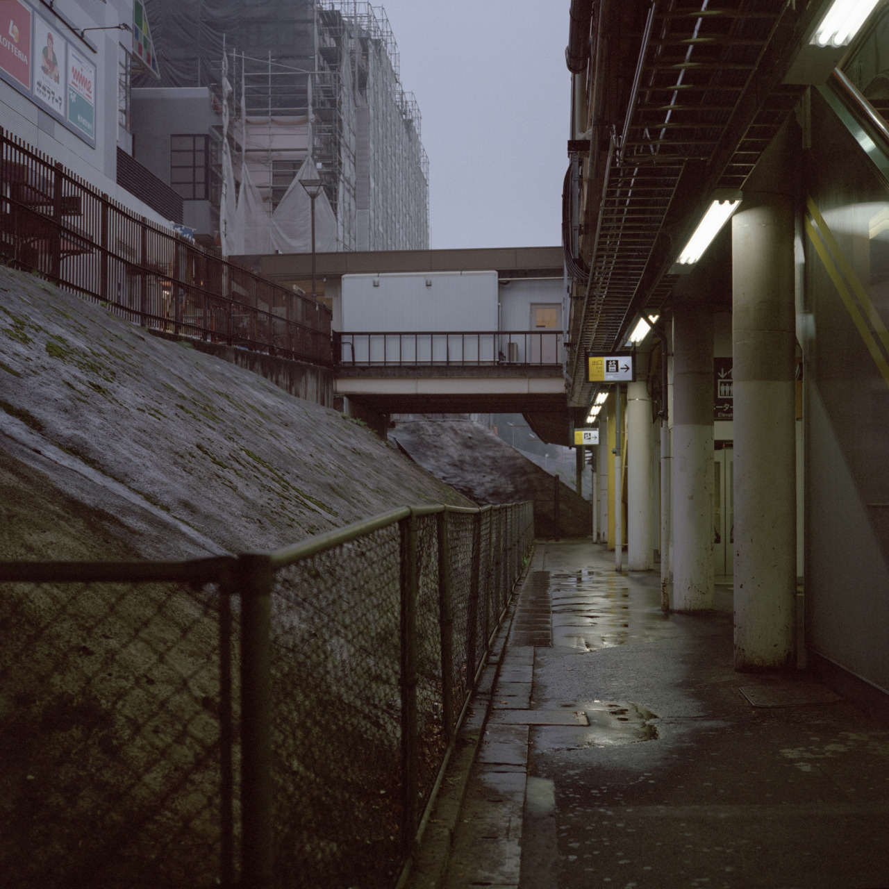 Archillect ID 251590