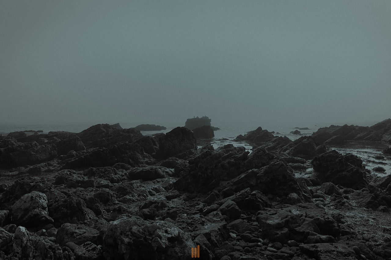Archillect ID 251647
