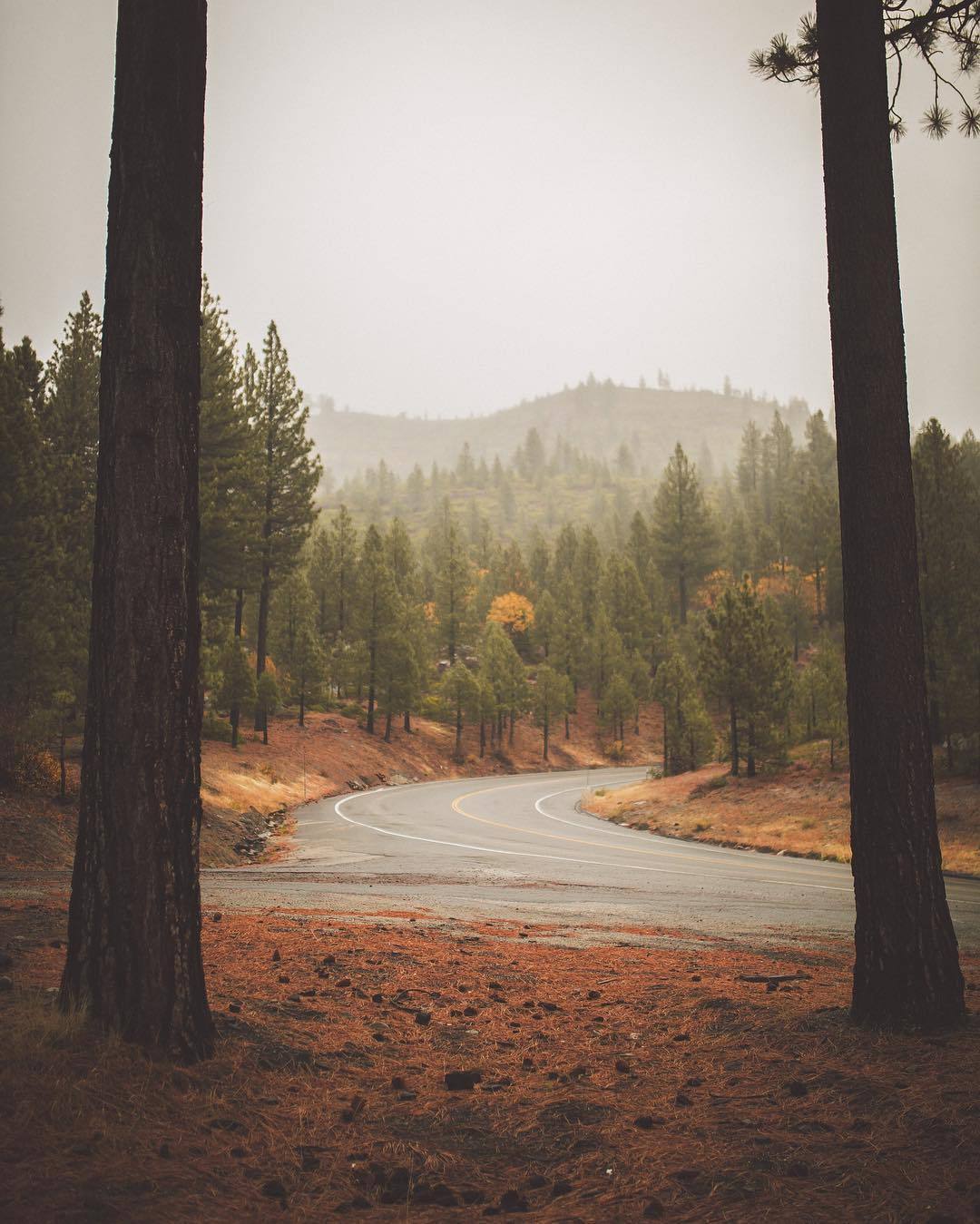 Archillect ID 251888