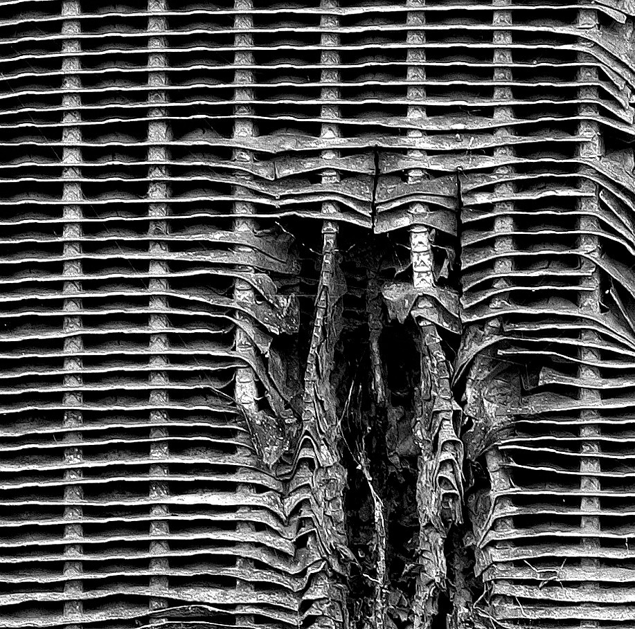 Archillect ID 252000