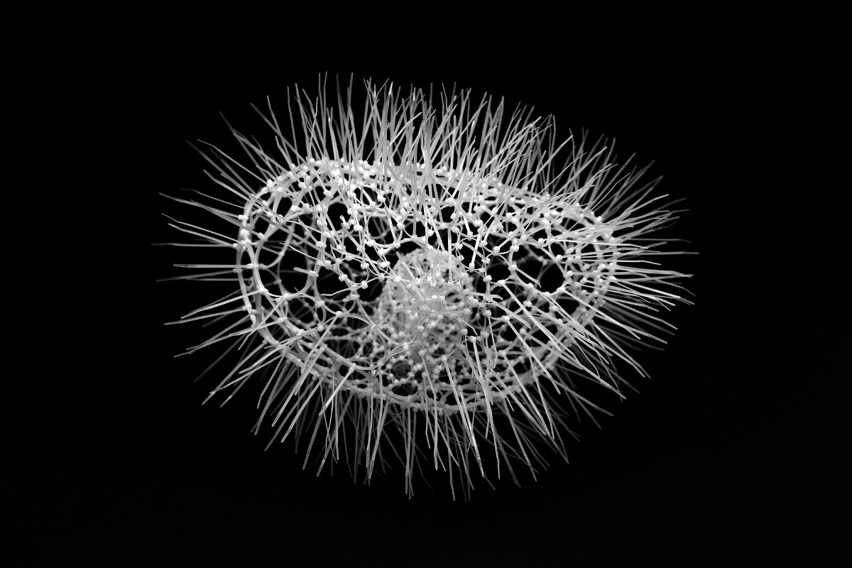 Archillect ID 252251
