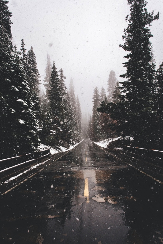Archillect ID 252724