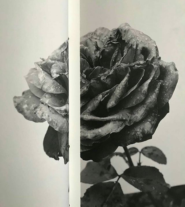 Archillect ID 253589