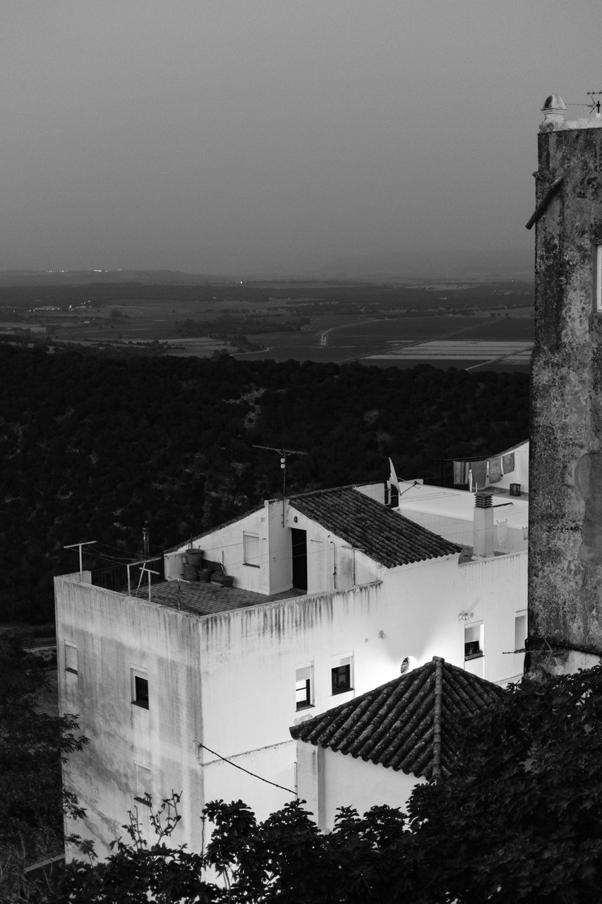 Archillect ID 253617