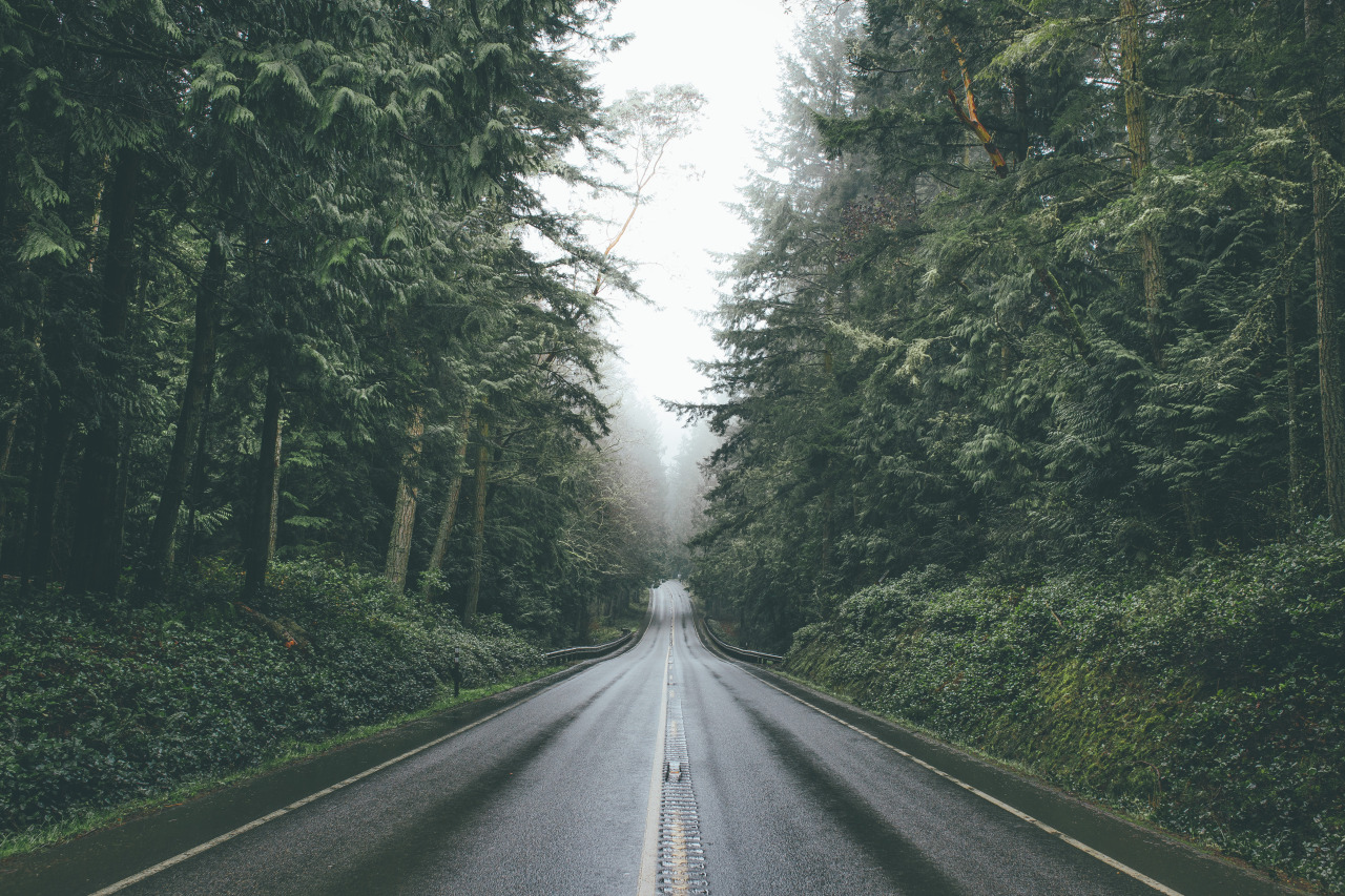Archillect ID 253651