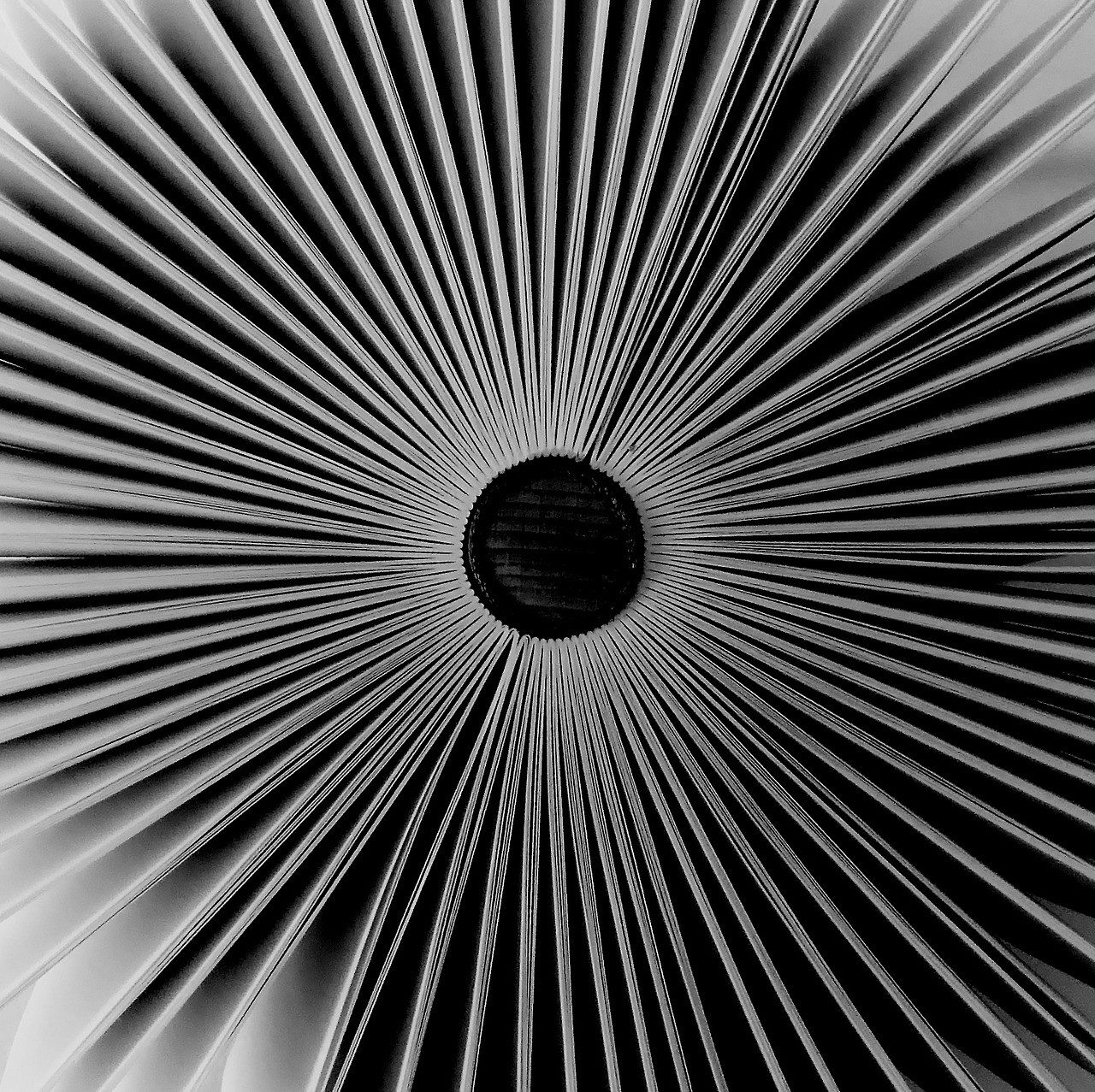 Archillect ID 253672