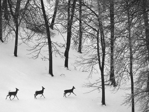Archillect ID 254369