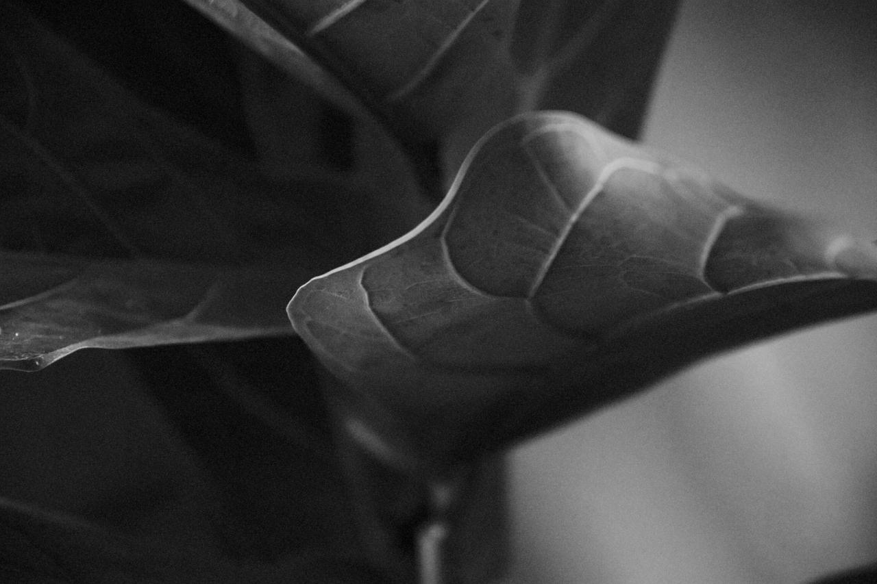 Archillect ID 254491
