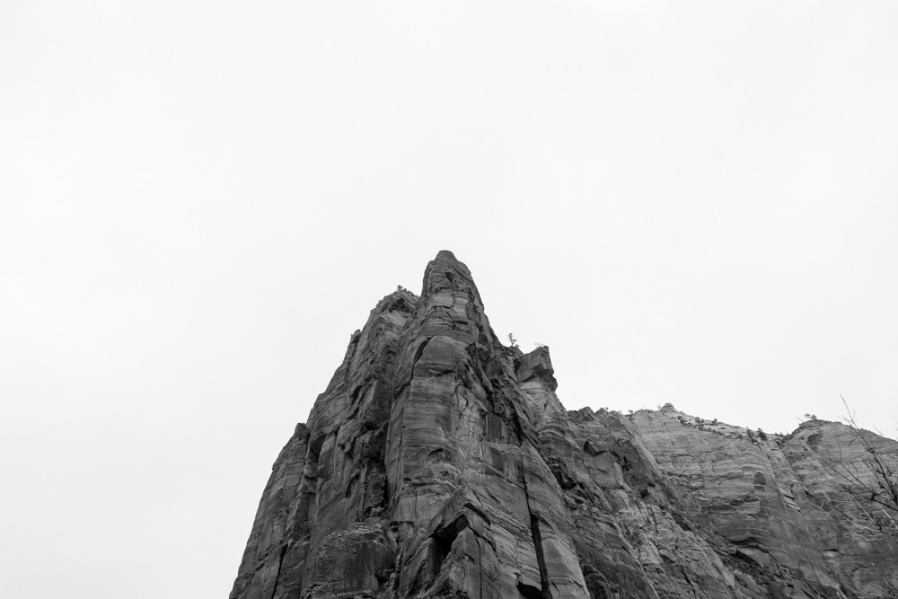 Archillect ID 255236
