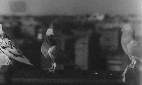 Archillect ID 255824