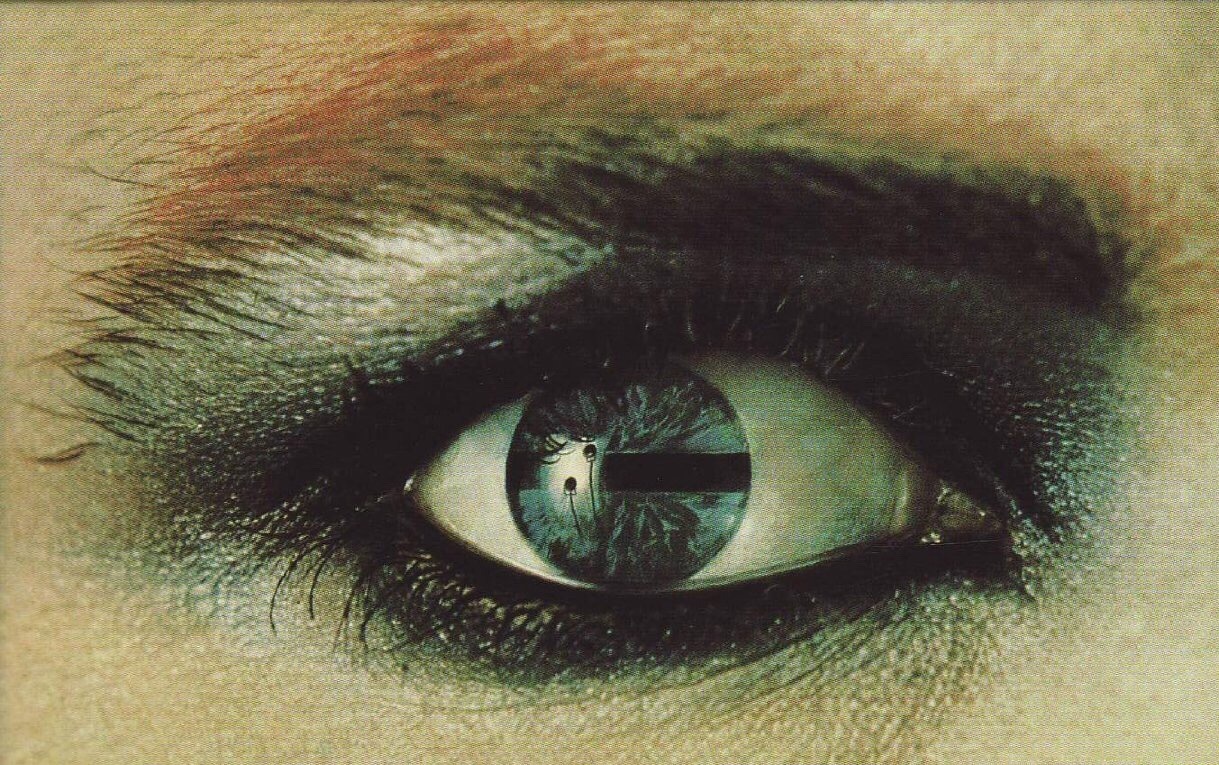 Archillect ID 256250