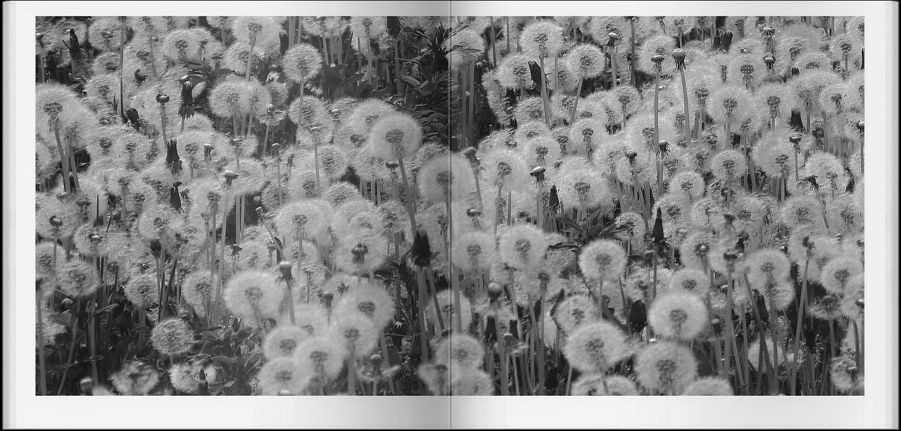 Archillect ID 256505