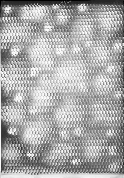 Archillect ID 256727