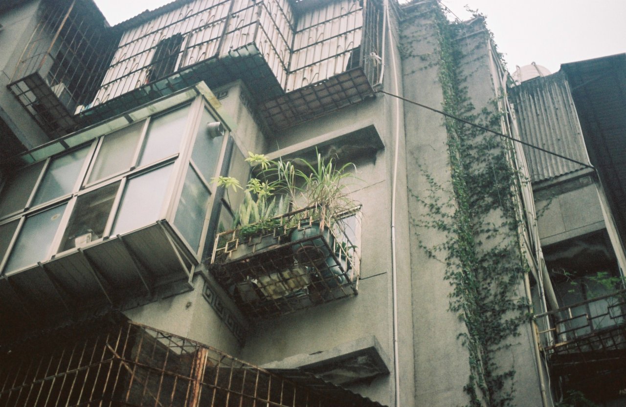 Archillect ID 256876