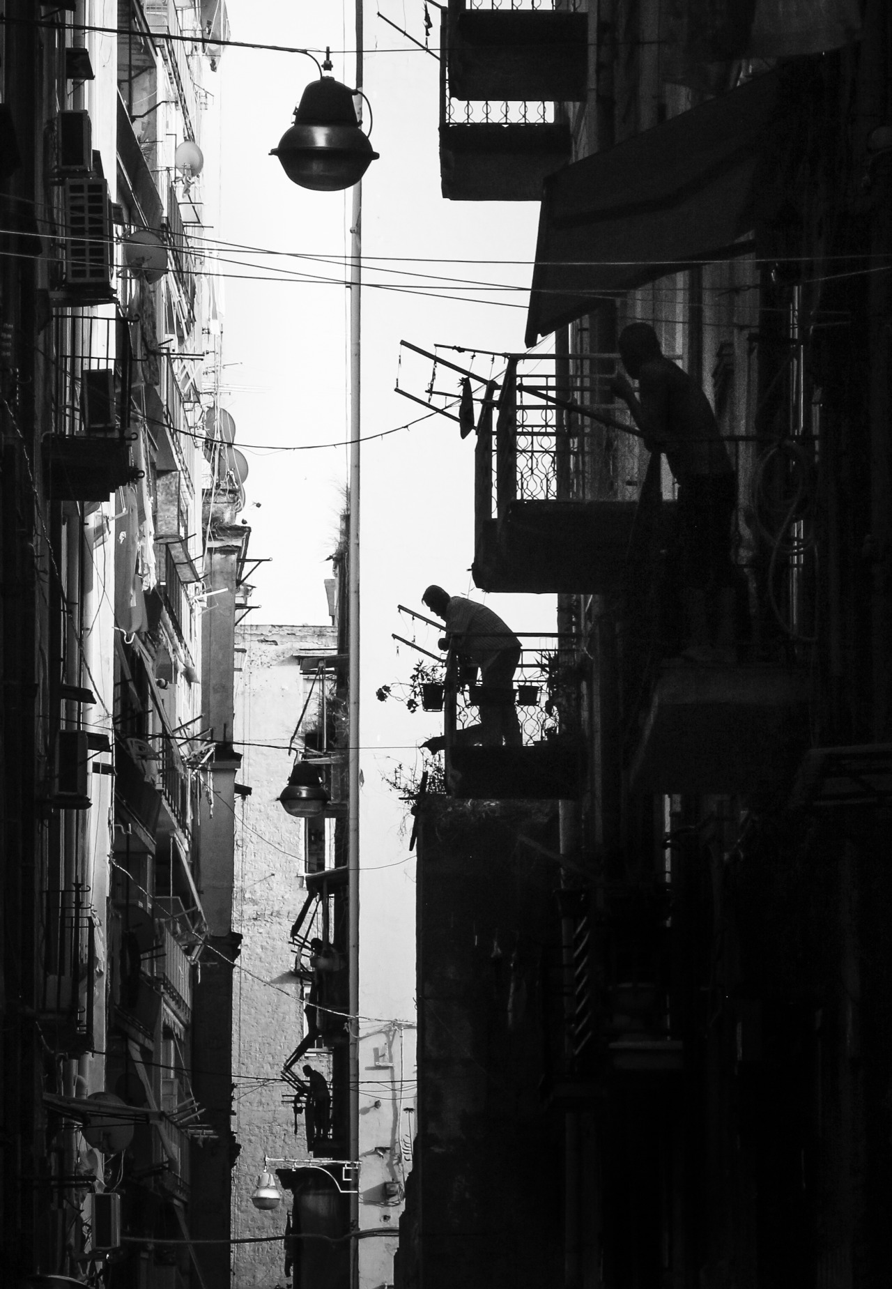 Archillect ID 256942