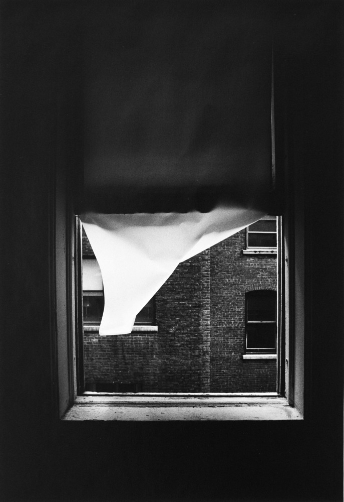 Archillect ID 256950