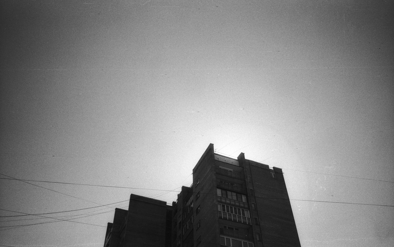 Archillect ID 257356