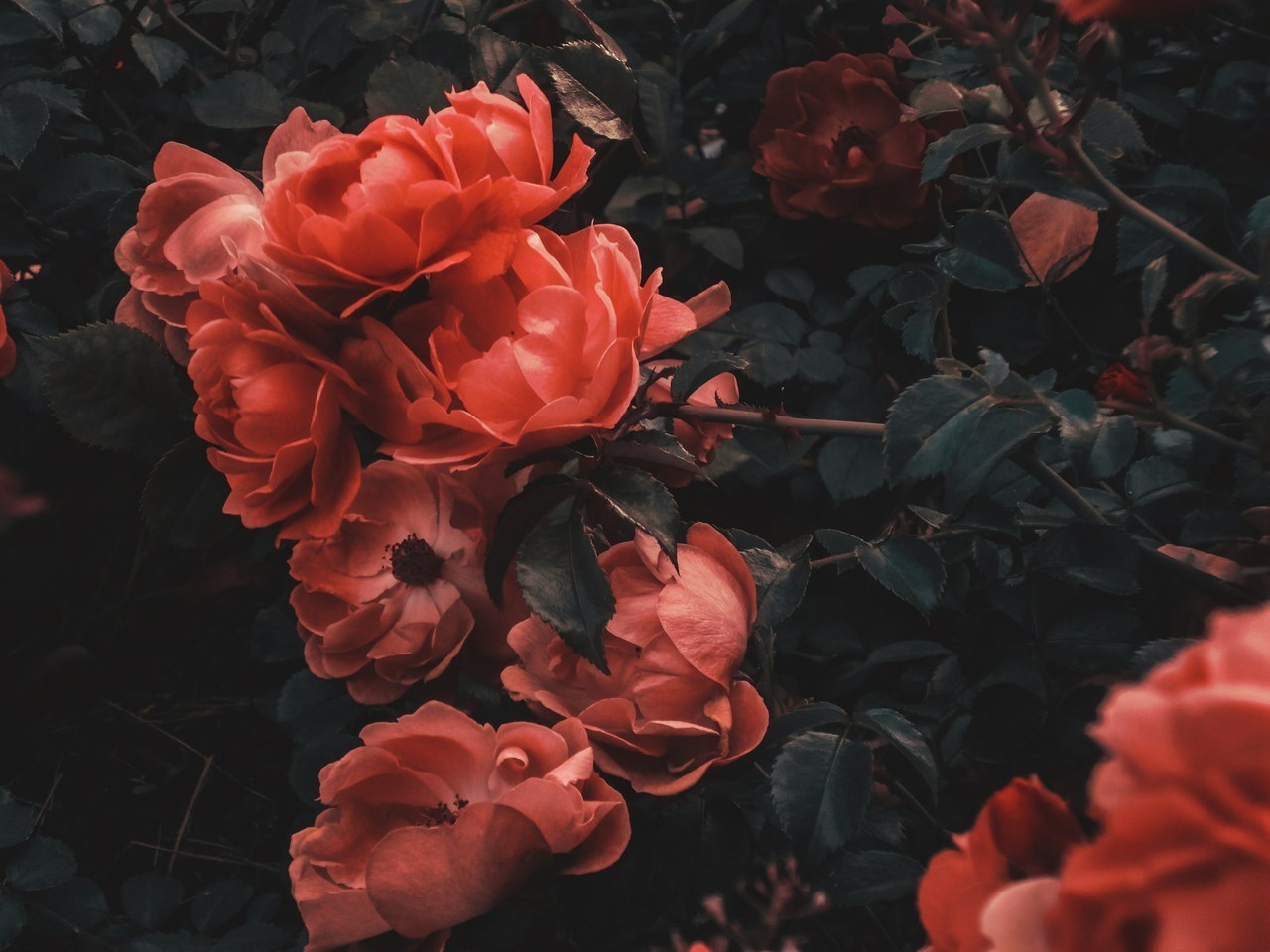 Archillect ID 258342