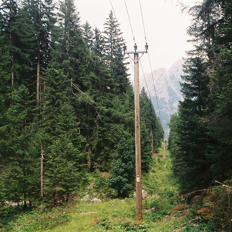 Archillect ID 258352